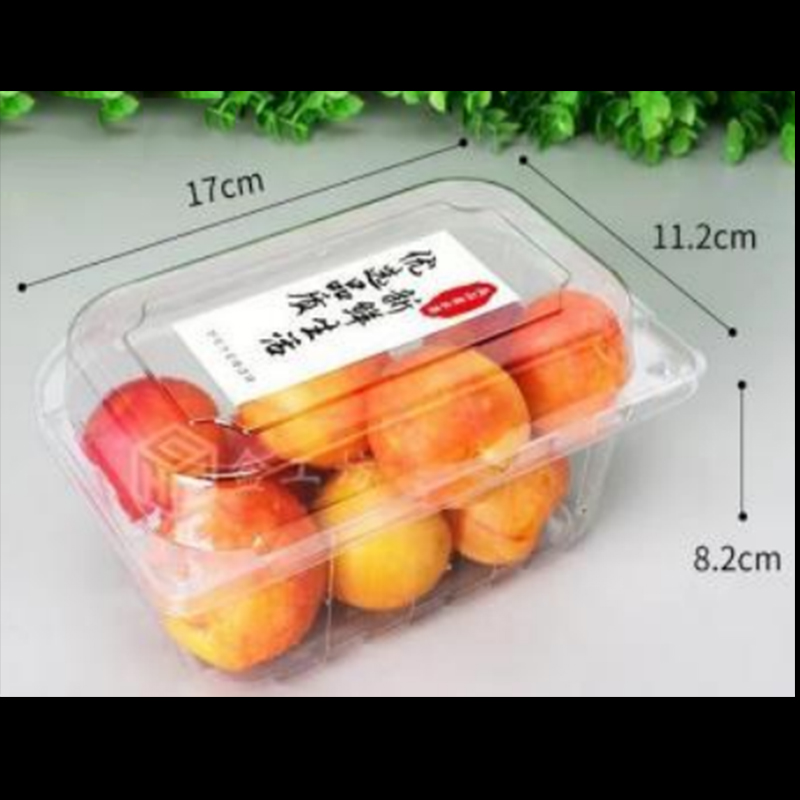 Caixa de frutas com tampa 170*112*82 mm hgf-300l