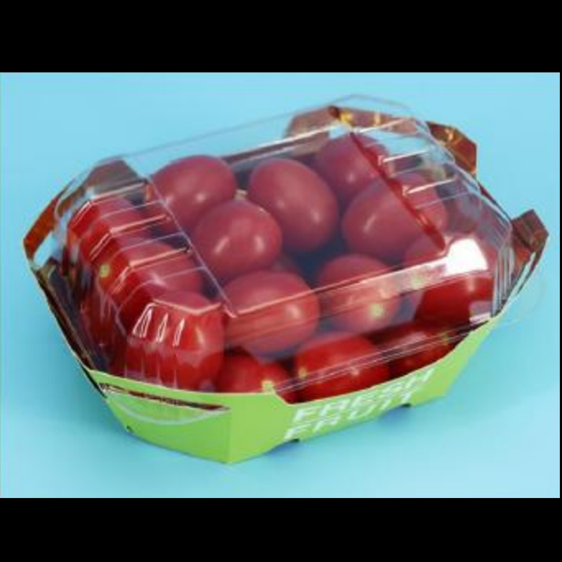 Caixa de frutas hgf-t500 500 g